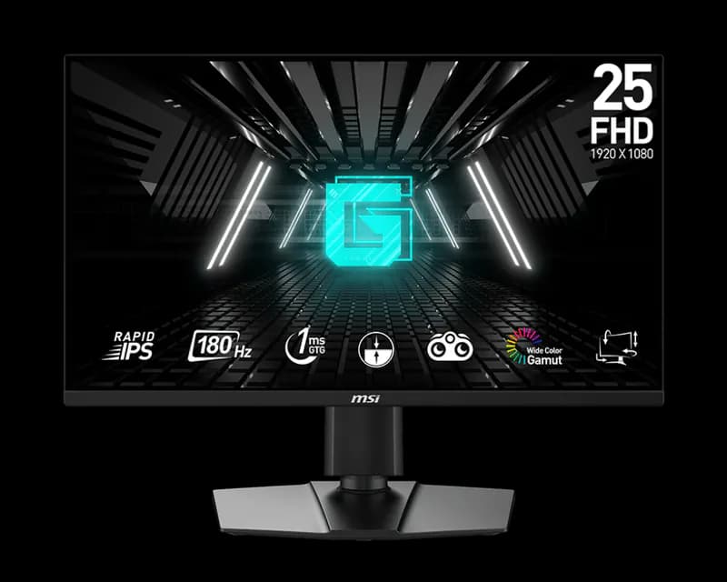MSI G255PF E2 24.5" Gaming Monitor