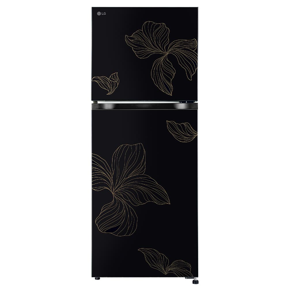 LG GLM250BROI.AROQ 238 Liter Double Door Refrigerator